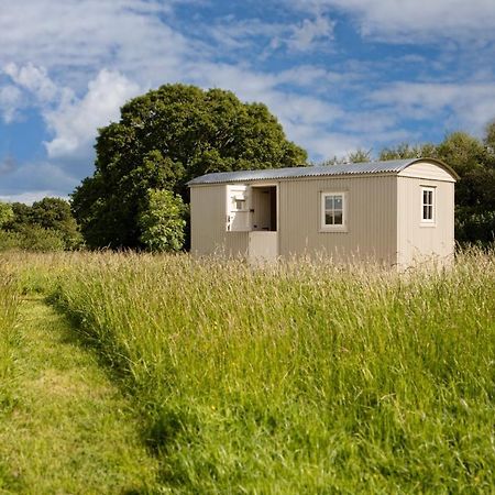 Romantic Secluded Shepherd Hut Hares Rest Southwick  Екстериор снимка